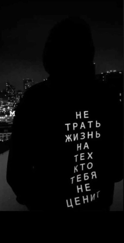 Толстовка Mustang Tee черный