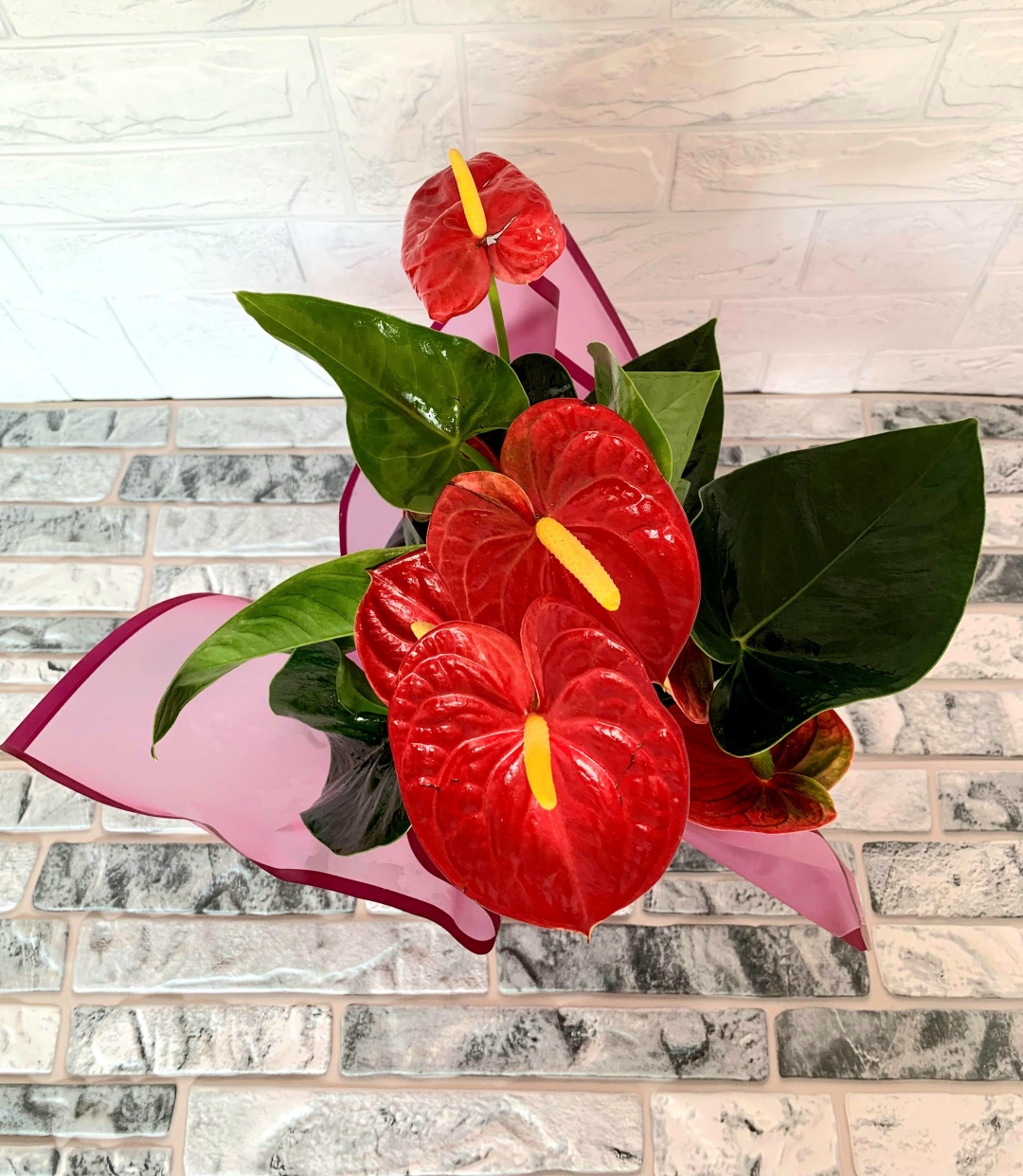 Фото 3