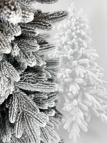 Фото 3