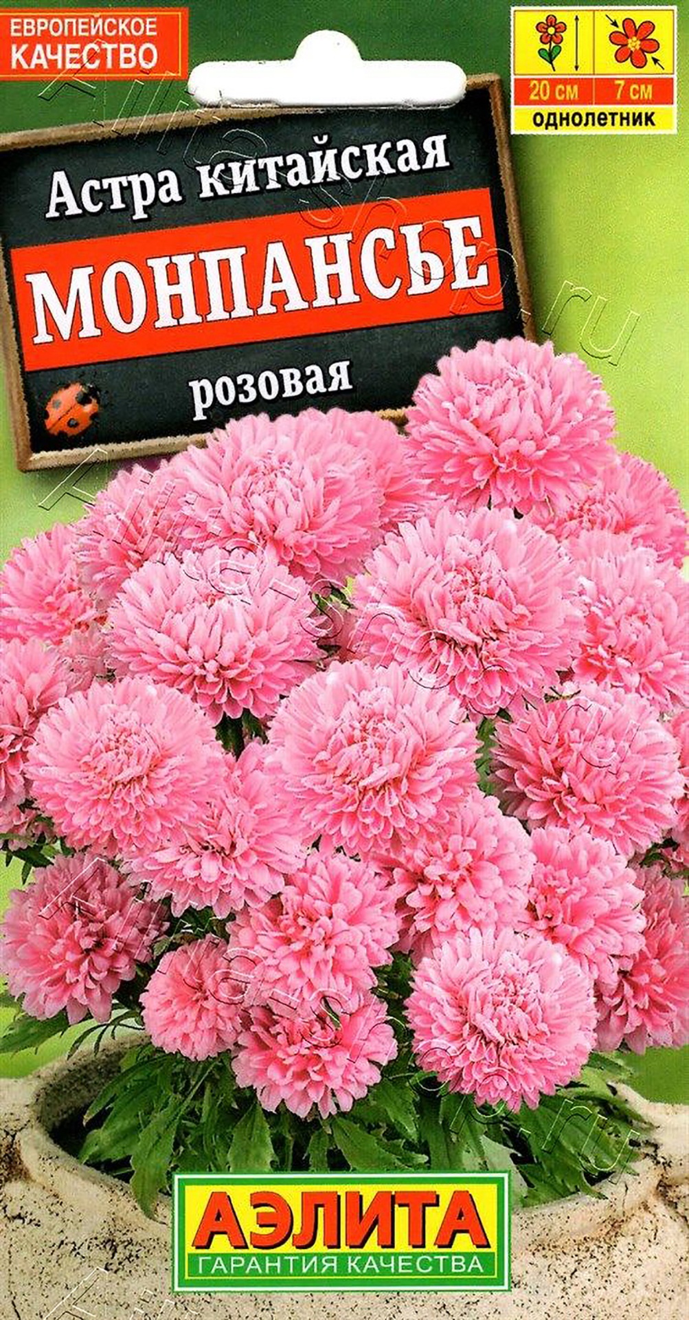 Аэлита Астра китайская Монпансье розовая