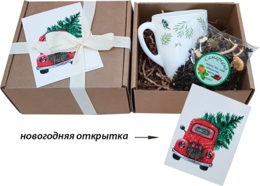 Zazu gifts Новогодний сюрприз НГБК-01 новогодний бокс