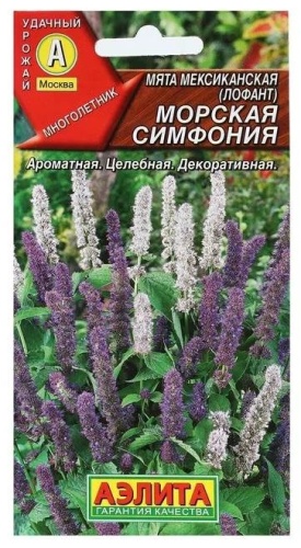 Аэлита мята Морская симфония