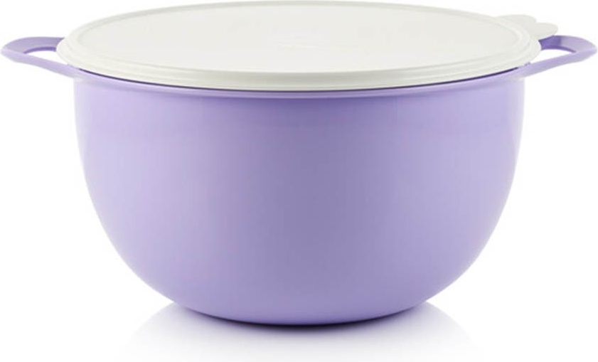 Tupperware контейнер Милиан РП286, пластик