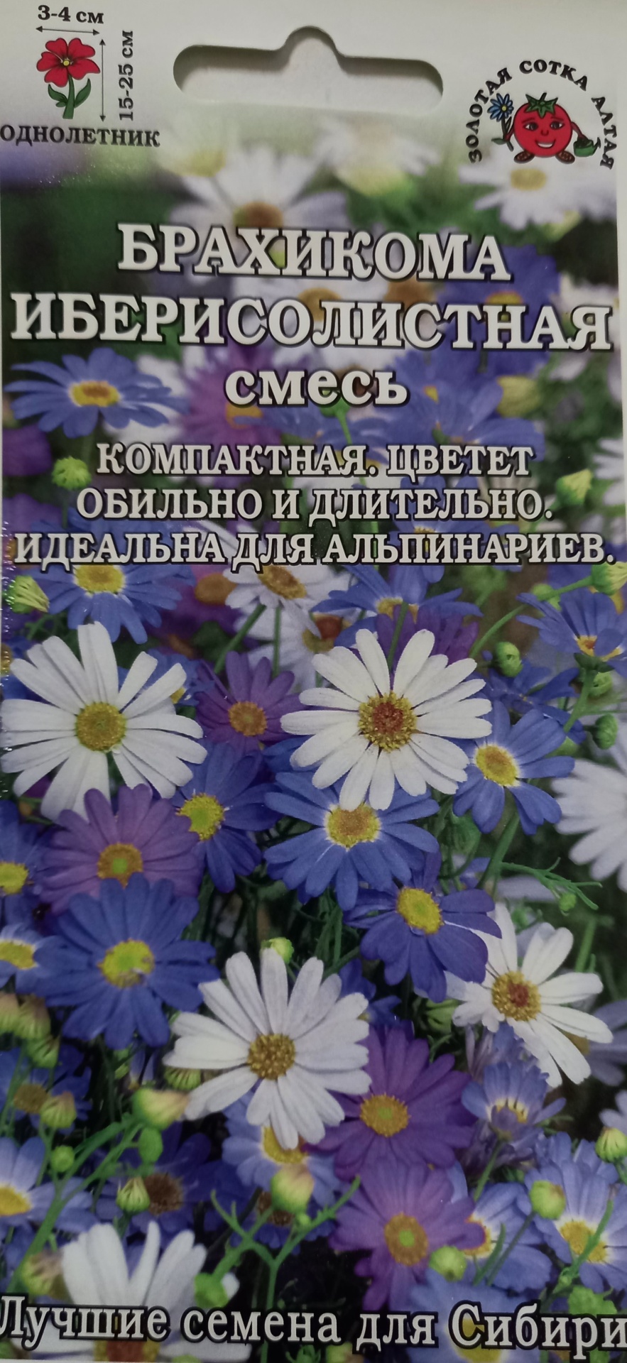 Золотая сотка Алтая смесь цветов Брахикома иберисолистная