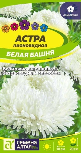 Семена Алтая астра Белая башня