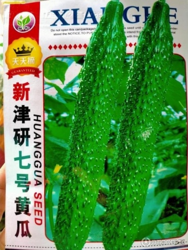 Огурец китайский Huanggua