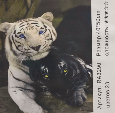 Картина по номерам Paintboy RA3290 50 см x 40 см
