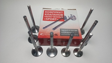 AVTOSTANDART комплект клапанов 21010100701095