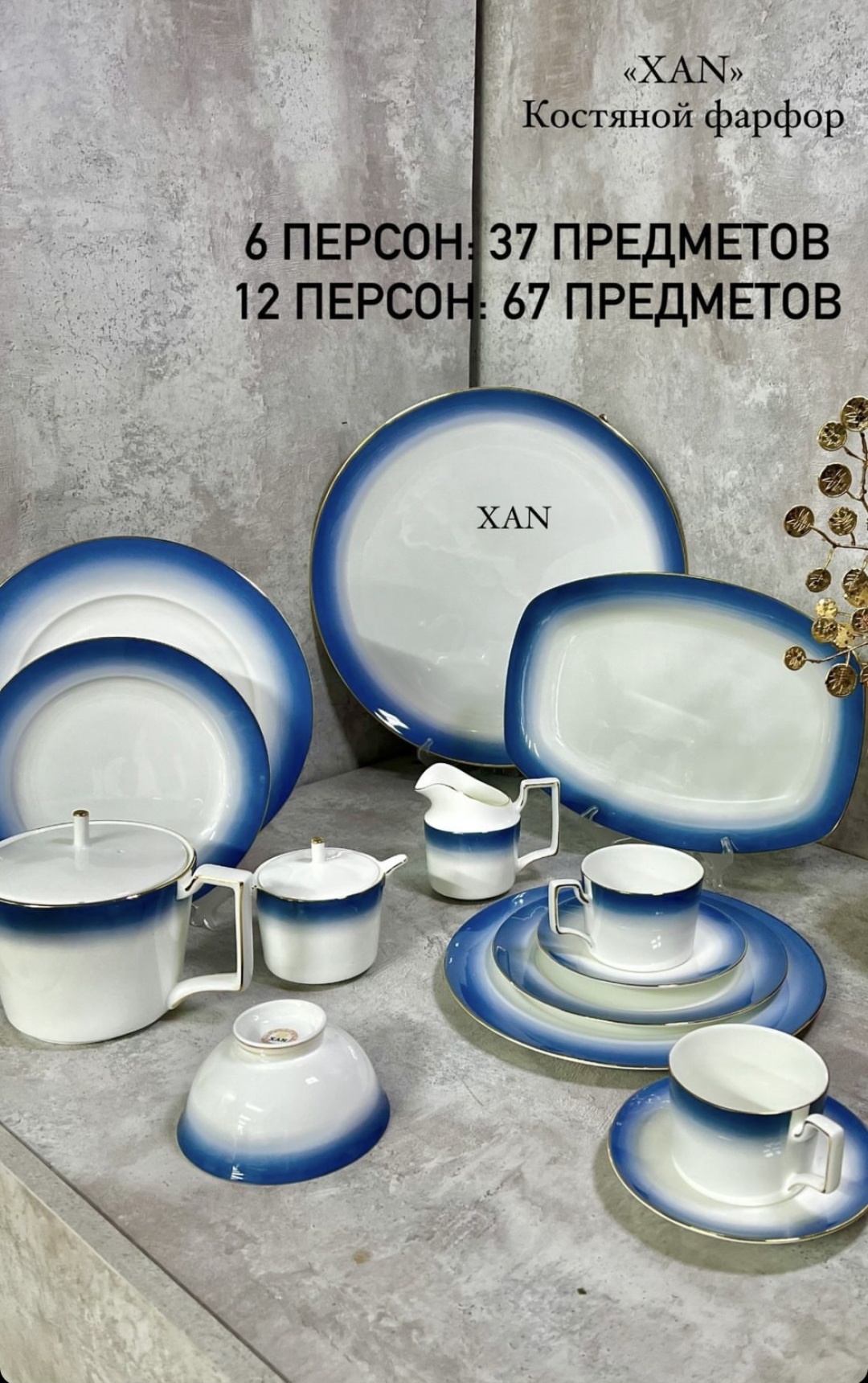 Сервиз на 12 персон , предметов: 67, чайно-столовый, костяной фарфор