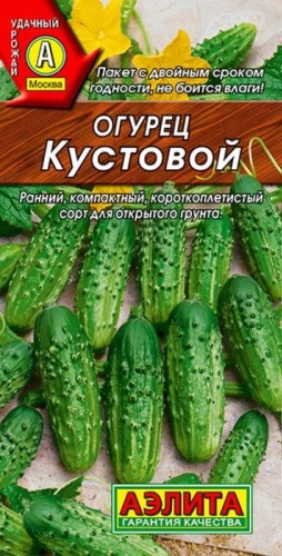 Аэлита огурец Кустовой
