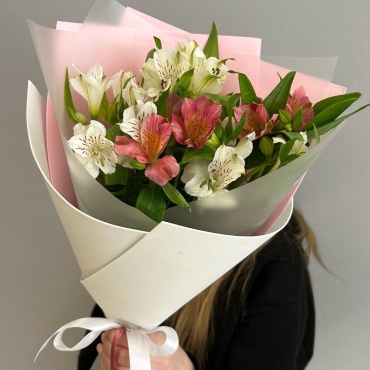 FloraLux моно-букет с открыткой альстромерия 5 шт 50 см