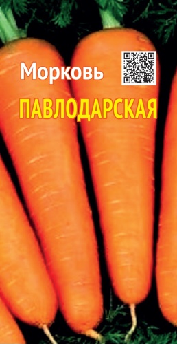 Морковь ПАВЛОДАРСКАЯ