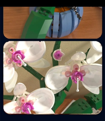 Фото 3
