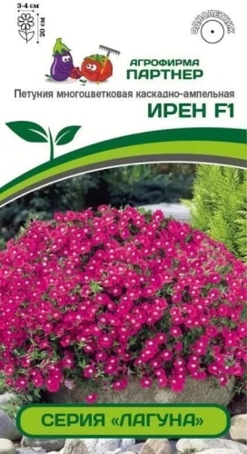 Партнер петуния Ирен F1