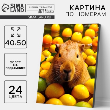 Картина по номерам Школа талантов 9898619 холст на подрамнике 50x40 см