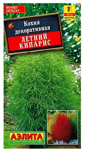 Семена Аэлита Кохия Летний кипарис