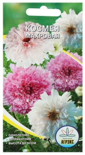 Агрэкс космея Махровая
