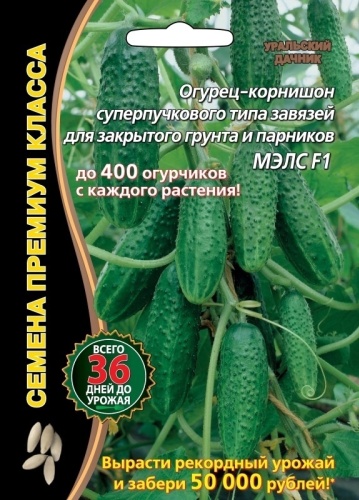 Уральский дачник огурец МЭЛС F1