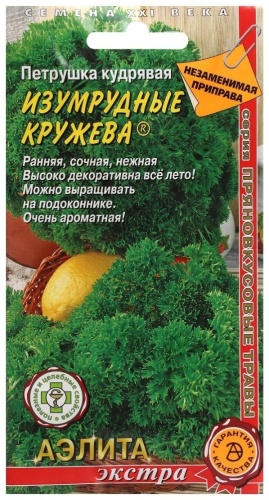Аэлита петрушка Кудрявая, Изумрудные кружева