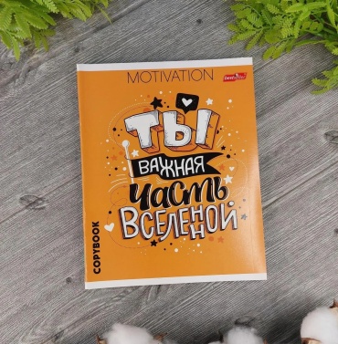 Общая тетрадь Bestseller MOTIVATION вид 3, 48 л, А5, клетка, мягкая обложка, 1 шт