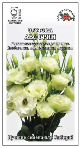 Золотая сотка Алтая эустома АВС Грин