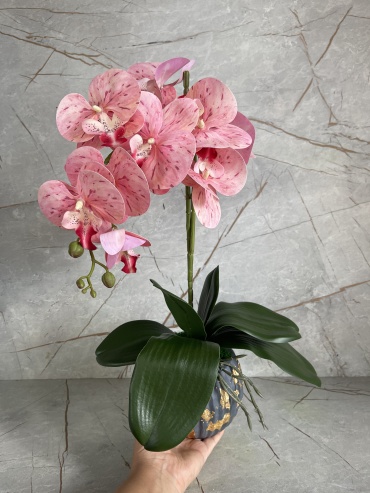 Фото 6