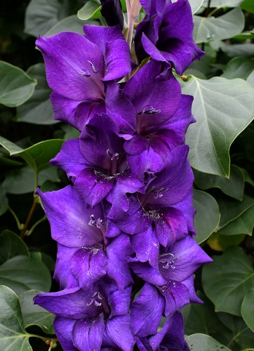 Фото 3