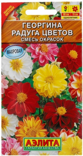 Аэлита Георгина Радуга цветов, смесь окрасок