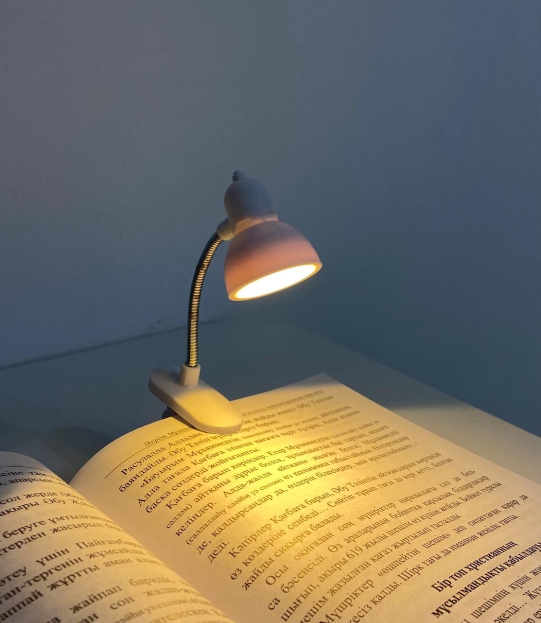 Настольная лампа Для книг 489415 LED, 6 Вт, пластик