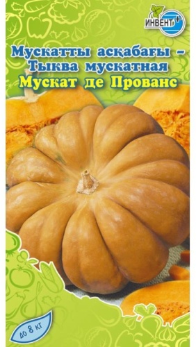 Семена фруктов Ивент-плюс тыква Мускат де Прованс