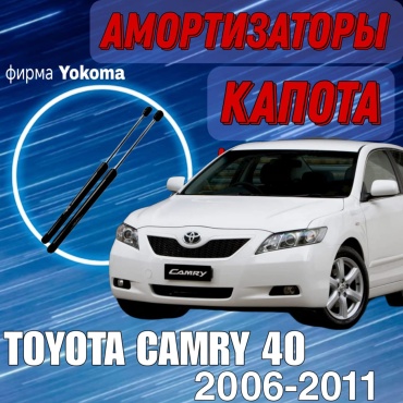 Газовые упоры капота 