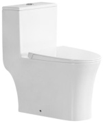 CSG унитаз-моноблок 88007, санфаянс