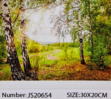 JS20654 20 см x 30 см