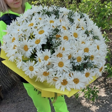 Artflower моно-букет в оформлении ромашка 101 шт 70 см