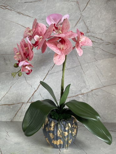 Фото 9