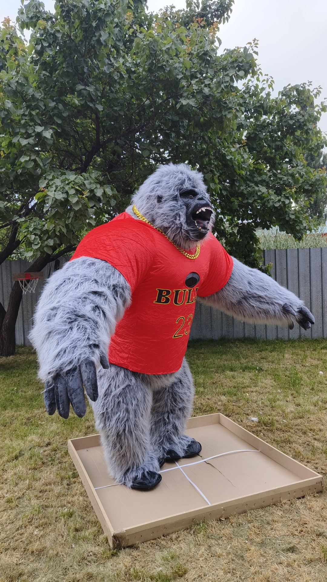Фото 2