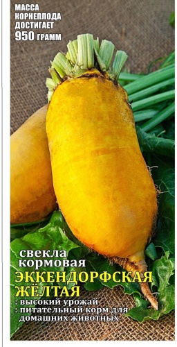 Свёкла ЭККЕНДОРФСКАЯ ЖЕЛТАЯ