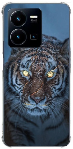 Чехол Qeeca для Vivo V25 рисунок