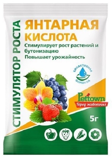 БиоМастер порошок Янтарная кислота л 0.004 кг