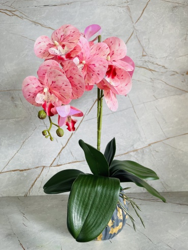 Фото 3