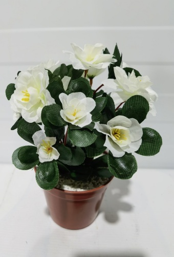Фото 3