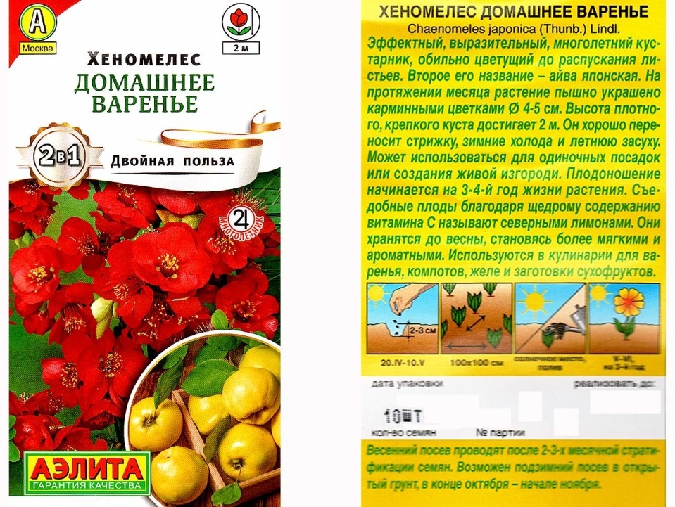 Аэлита айва японская Хеномелес (Домашнее варенье)