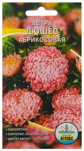 Агрэкс астра Дюшес абрикосовая