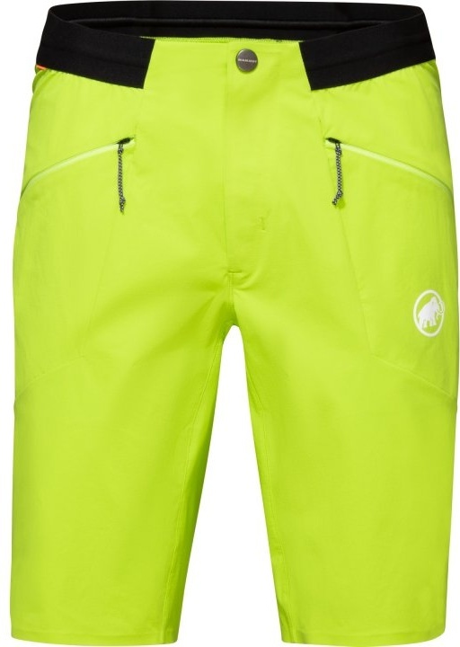 Спортивные шорты Mammut зеленый