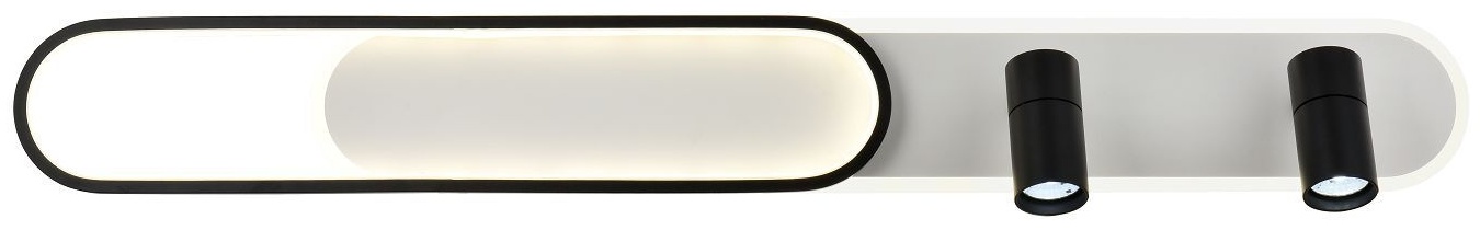 Светильник потолочный Favourite LED черный, белый
