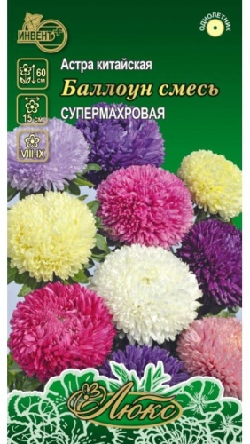 ИНВЕНТ+ астра Баллоун супермахровая