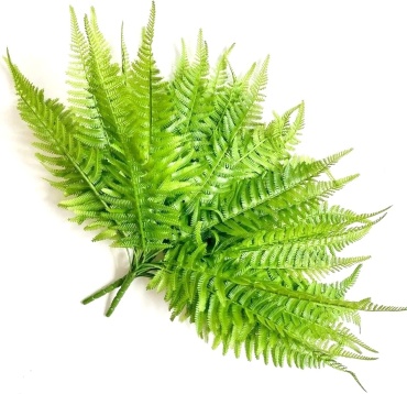Green de Lux папоротник 40 см, 862860