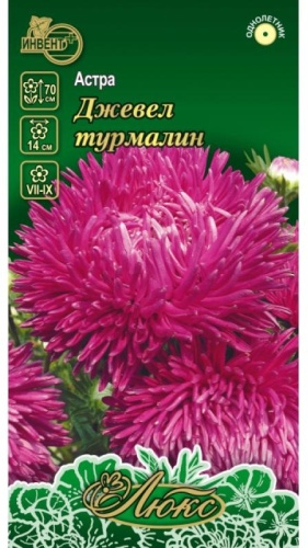 ИНВЕНТ+ астра Джевел Турмалин