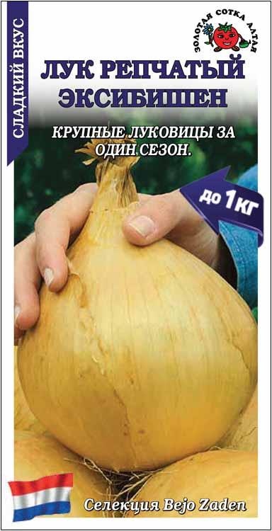 Золотая сотка Алтая лук Лук Эксибишен