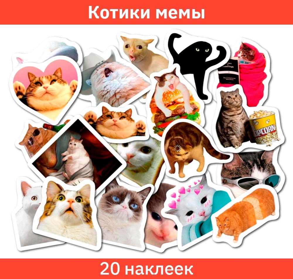 Игрушки коты мемы